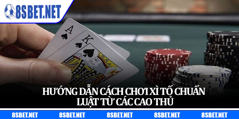 Hướng dẫn cách chơi xì tố chuẩn luật từ các cao thủ