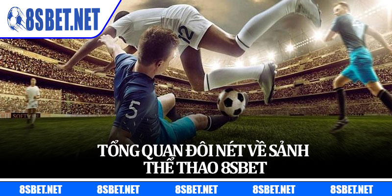 Tổng quan đôi nét về sảnh thể thao 8sbet